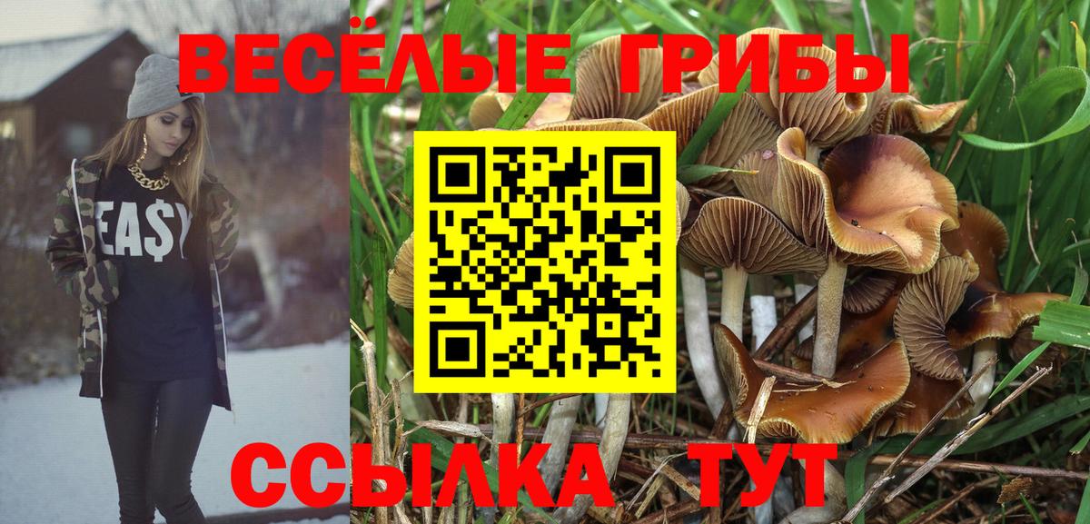 Галлюциногенные грибы GOLDEN TEACHER Озёрск